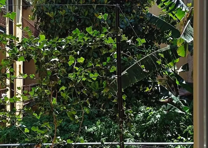 Civico 8 Brother And Sister شقة بولونيا